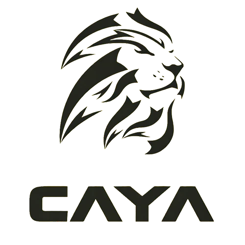 Caya bikes